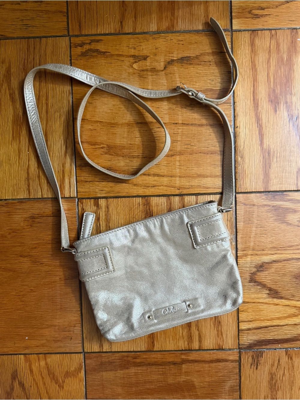 Cole Haan Metallic Gramercy Zooey Crossbody Bag